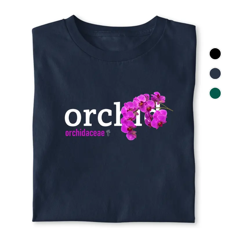 Orchid
