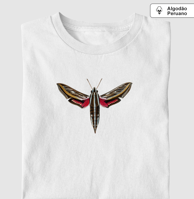 Mariposa