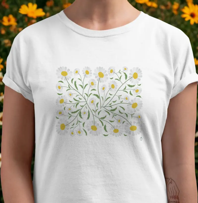 Coleção flores