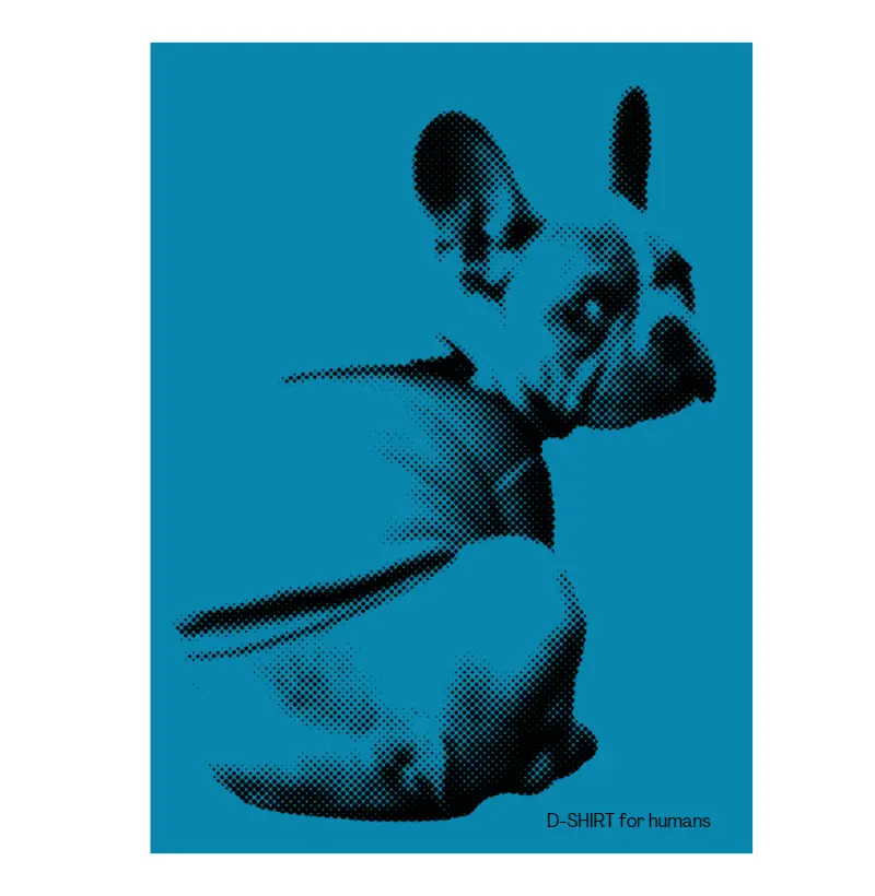Winter - Frenchie in Blue