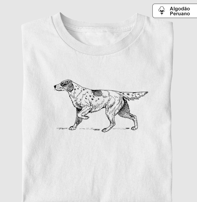 Setter dog