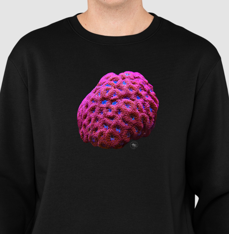 LPS Coral