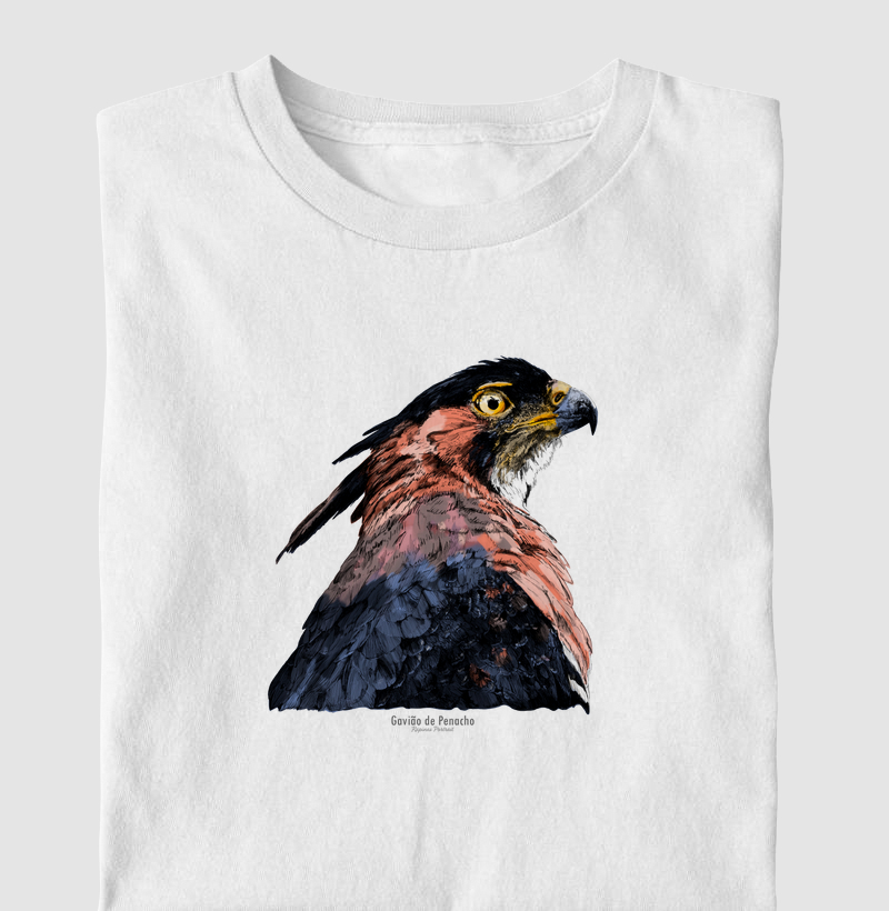 Gavião de Penacho Inky - Infantil