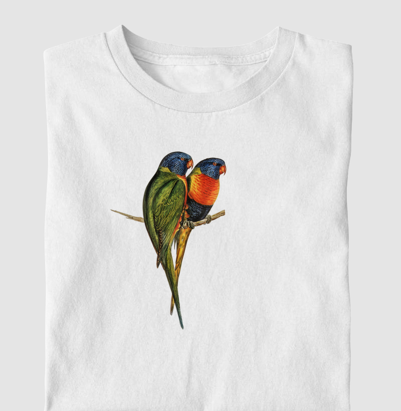 Rainbow Lorikeet