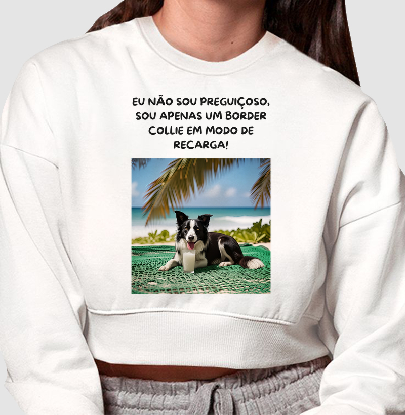 Border collie em modo recarga