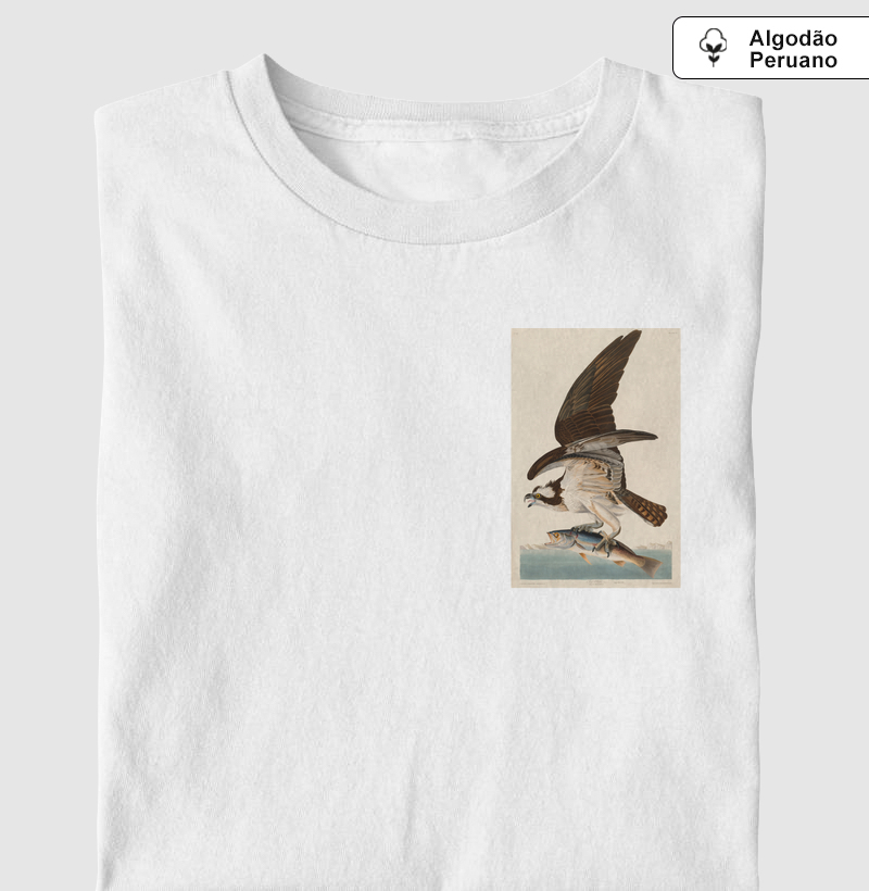 Fish Hawk