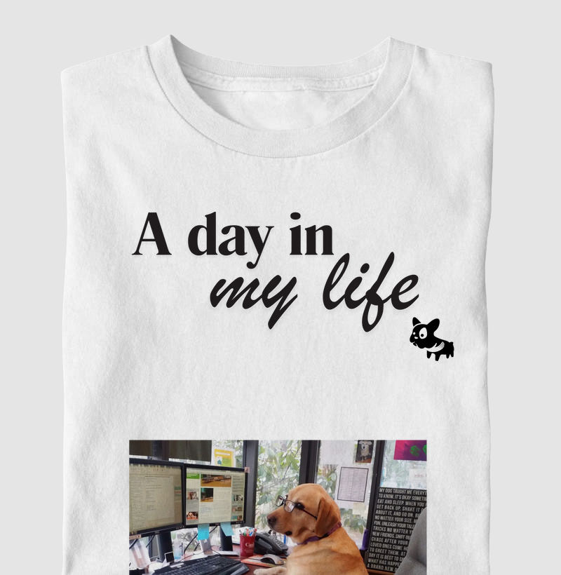 Camiseta A Day In My Life