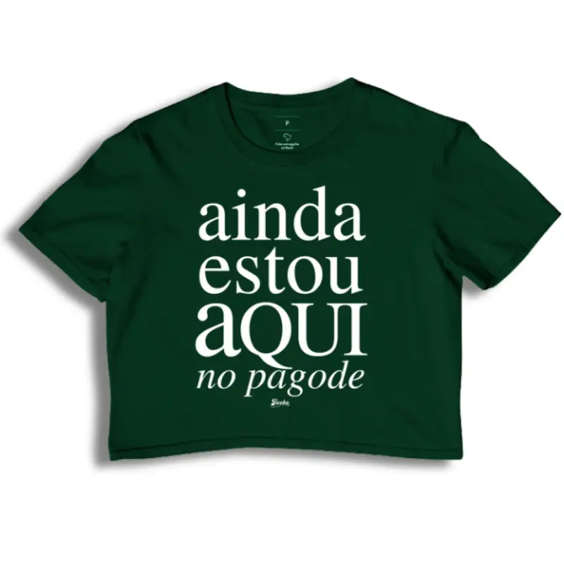 Ainda estou aqui no pagode