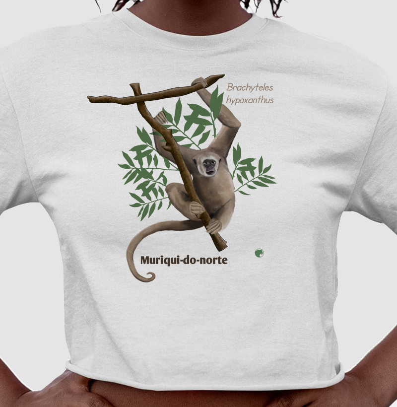 Muriqui-do-norte