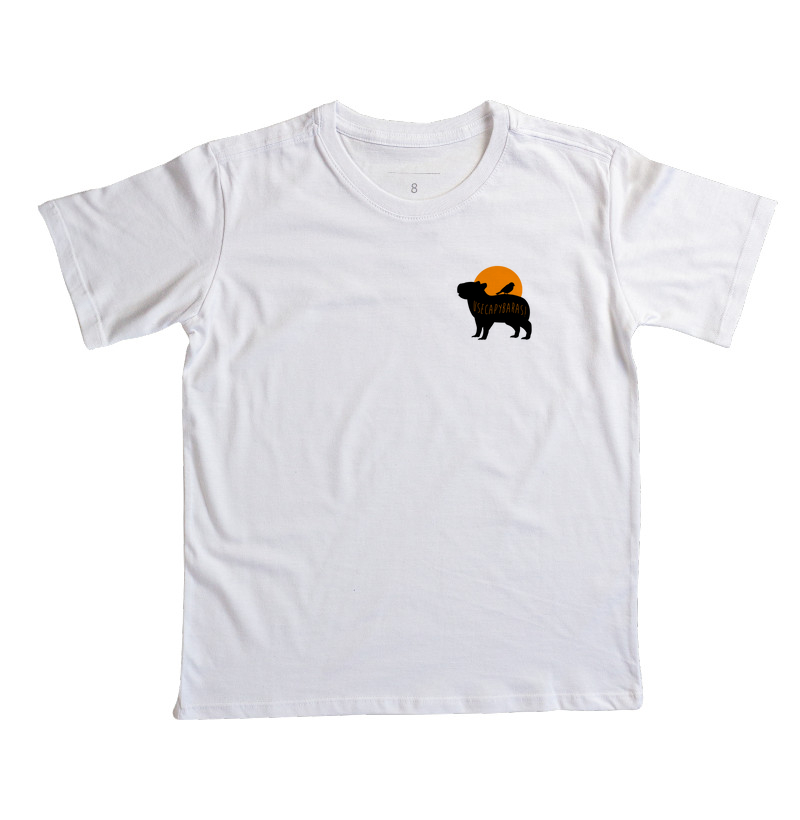 Use Capybara