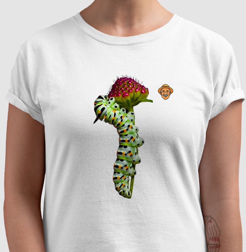 Lagarta da borboleta-calda-de-andorinha