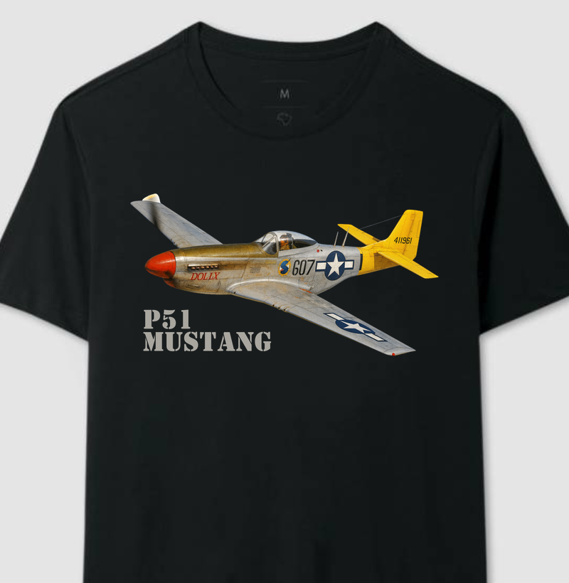 P51 Mustang