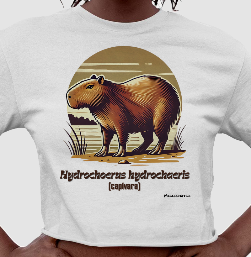 Capivara 01 (cropped)
