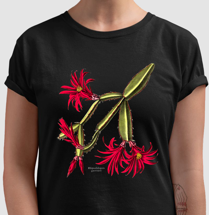 Camiseta Tshirt Rhipsalidopsis gaertneri