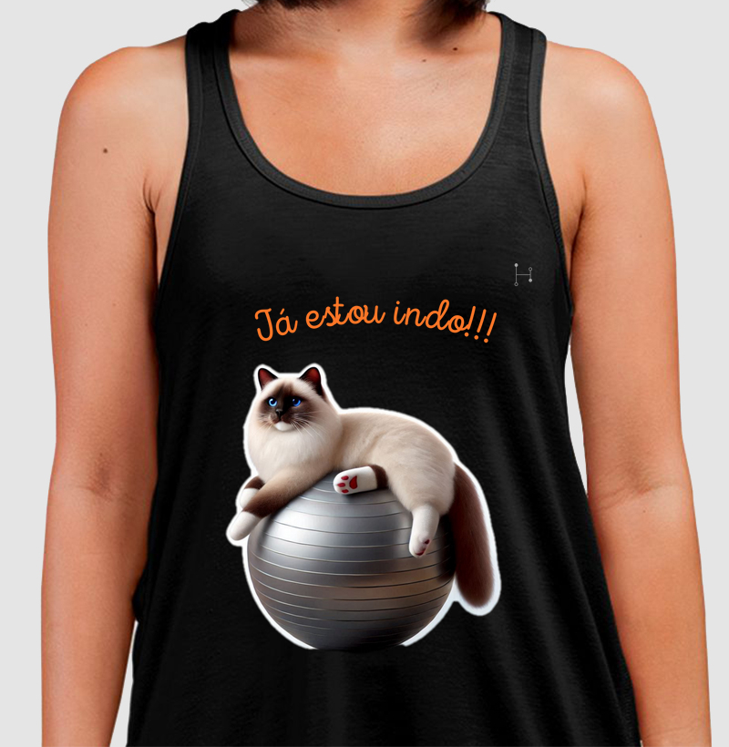 Gato - Ragdoll 