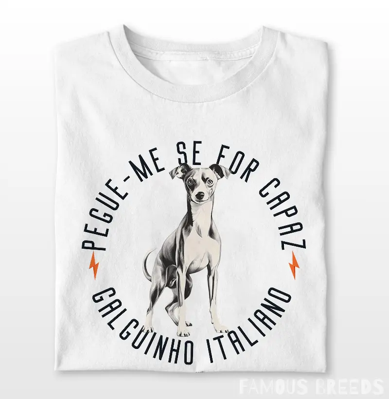 Galguinho