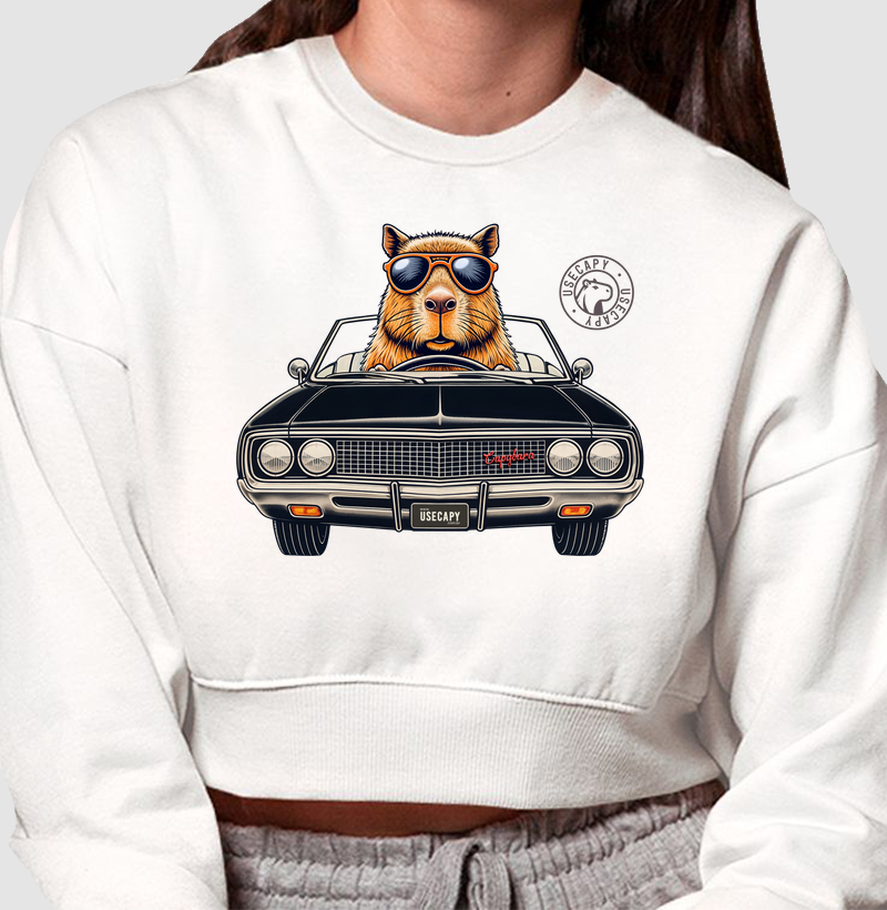 Dodge Capy