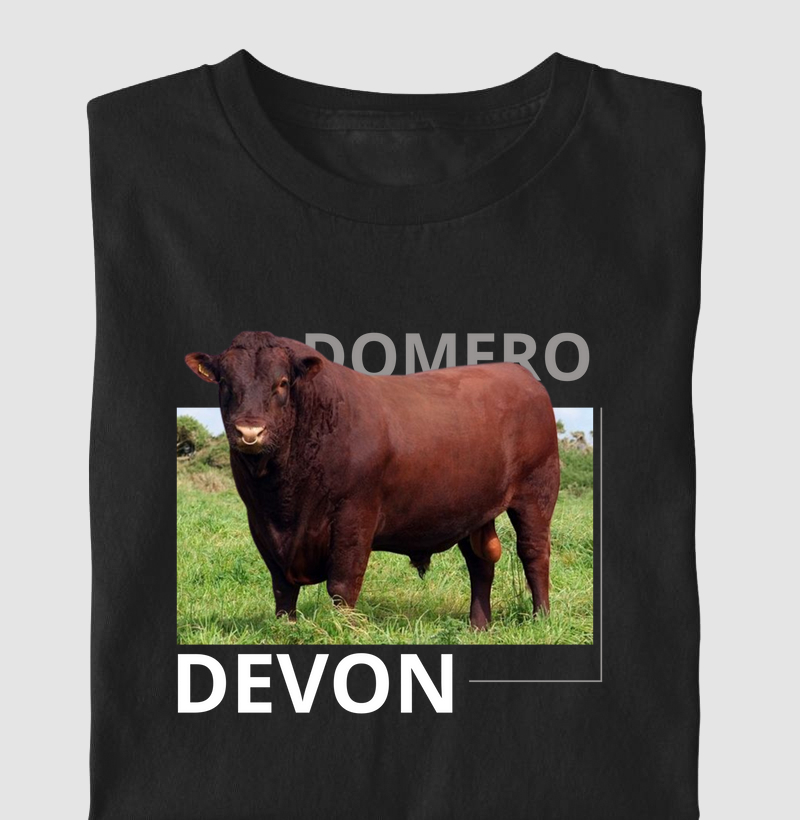 cmiseta infantil devon