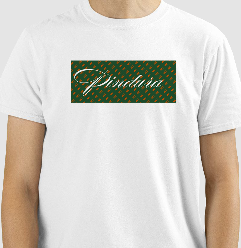 Camiseta Pindura Classica 2