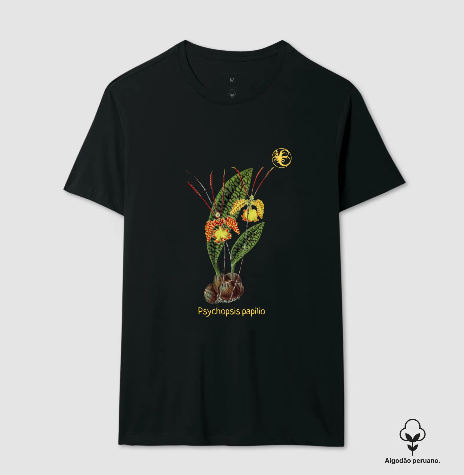 PAPILIO