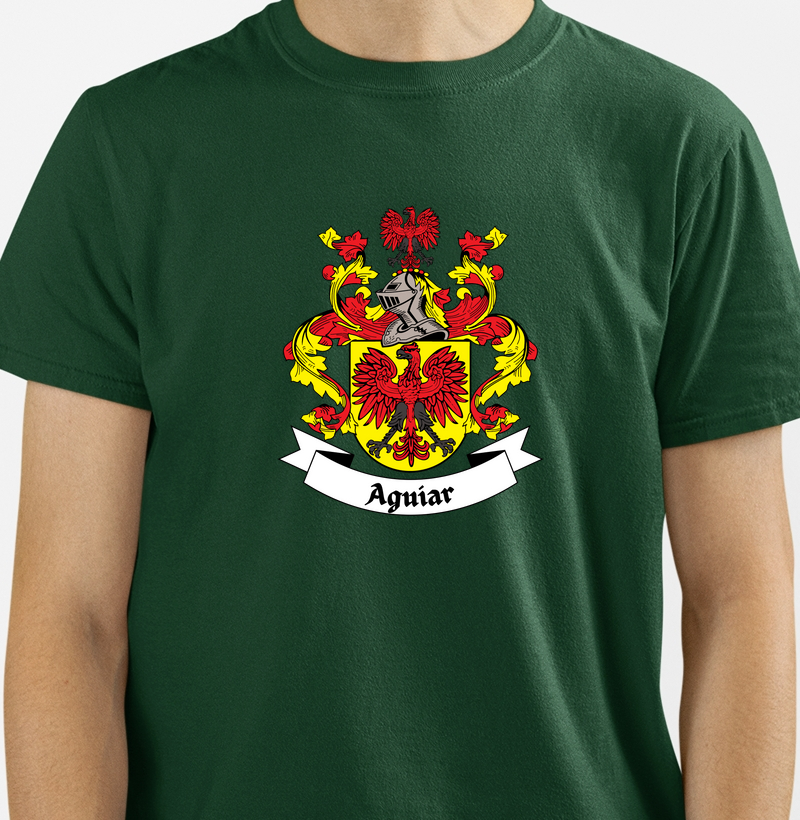 Brasão da Família Aguiar com Nome