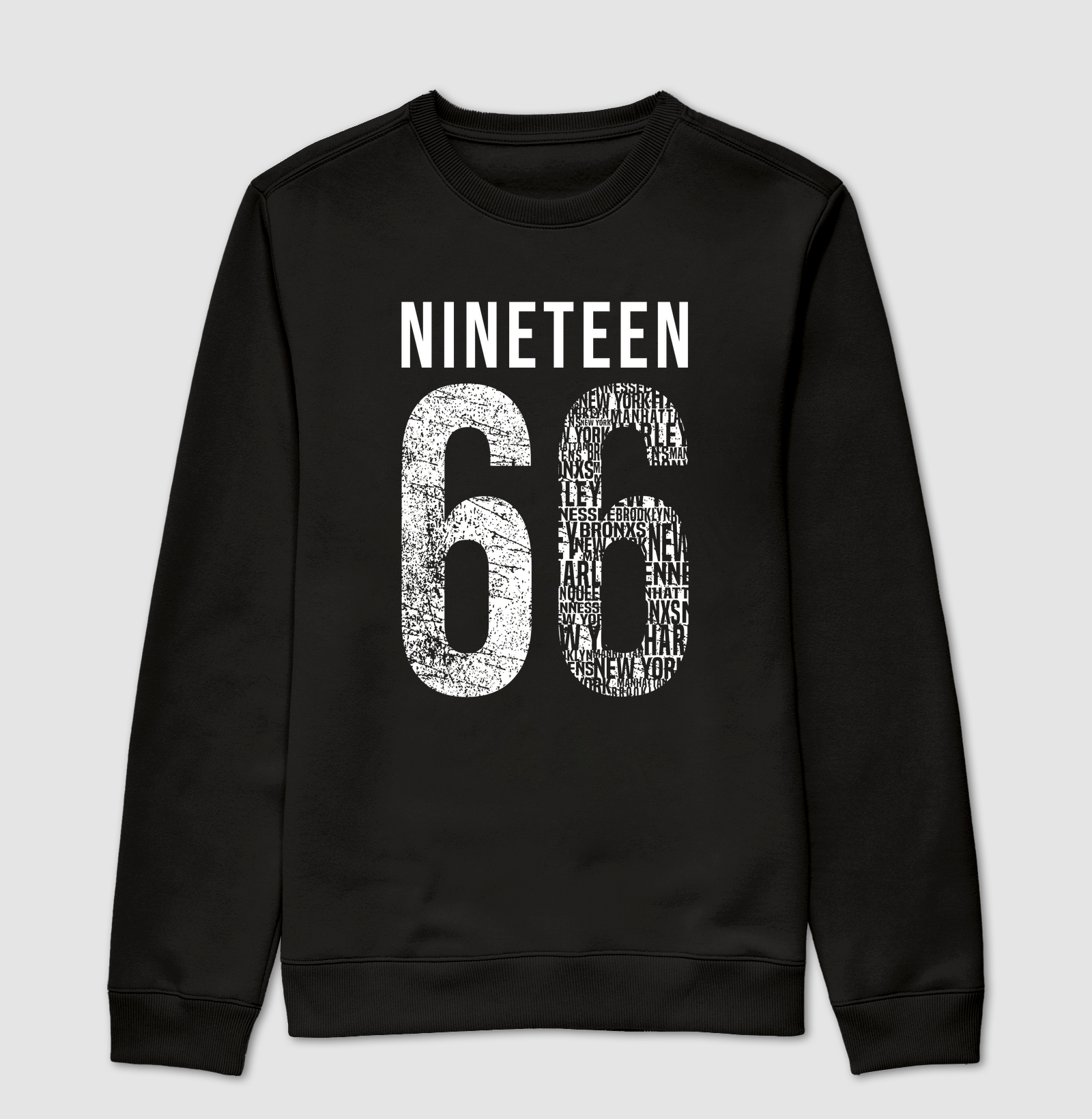 nineteen 66