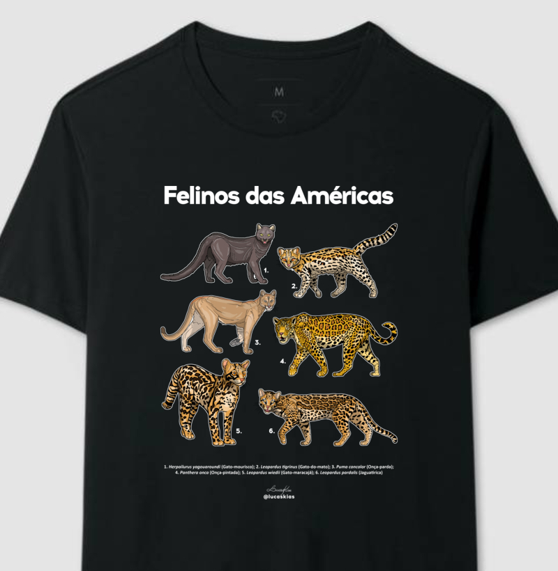 Felinos das Américas - Modelo B