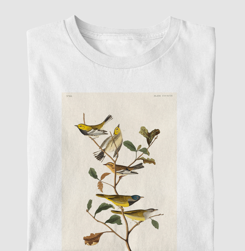 Black-throated green Warbler