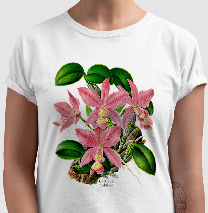 Camiseta Cattleya nobilior