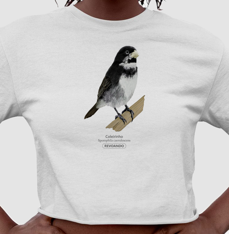 Aves do Brasil - Coleirinho - Cropped