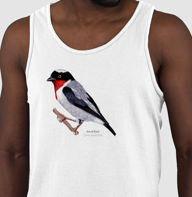 Aves do Brasil - Saíra Apunhalada - Regata