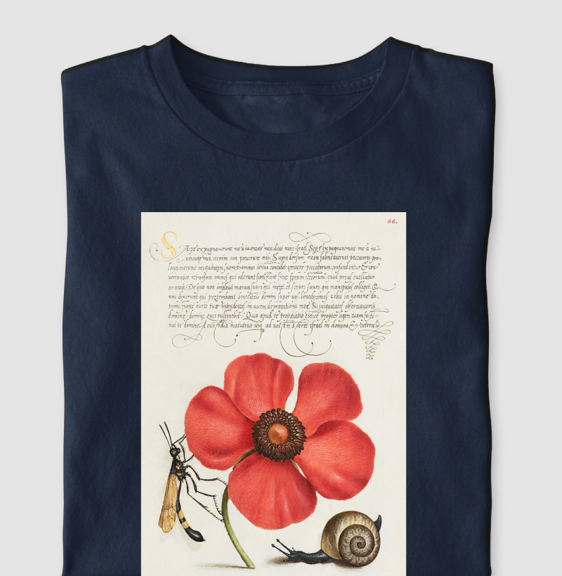 Terrestrial Mollusk, Poppy Anemone, and Crane Fly