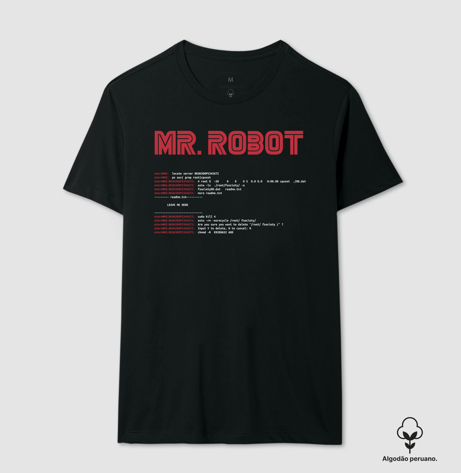 Mr. Robot