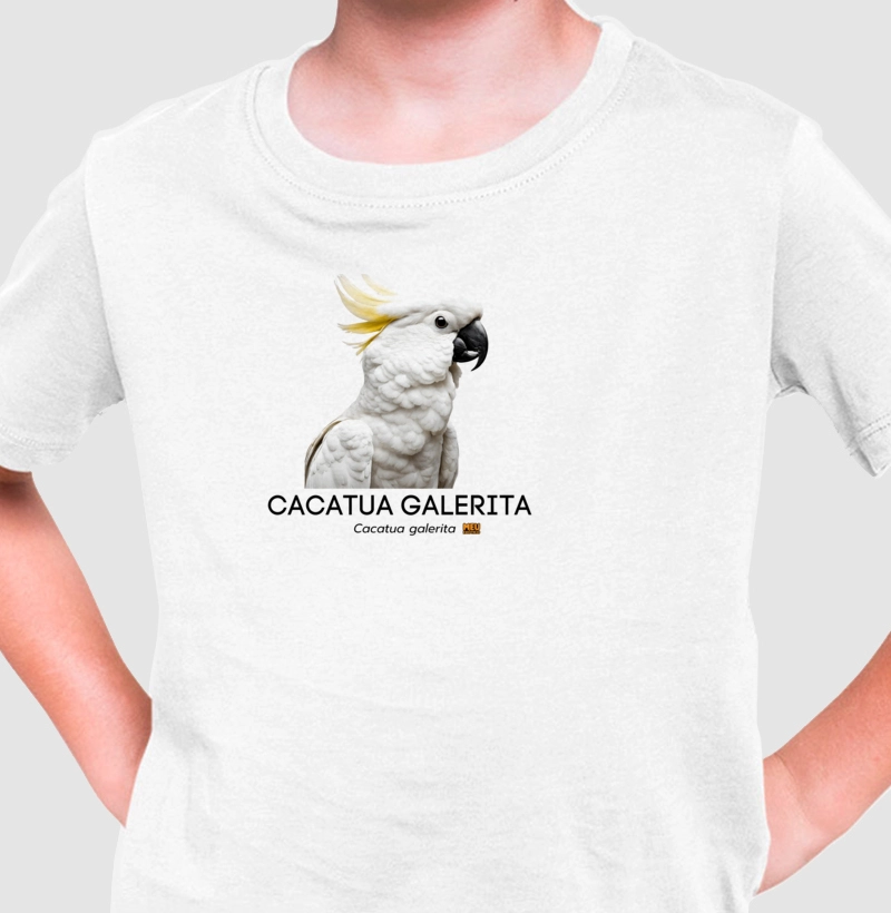 Cacatua galerita