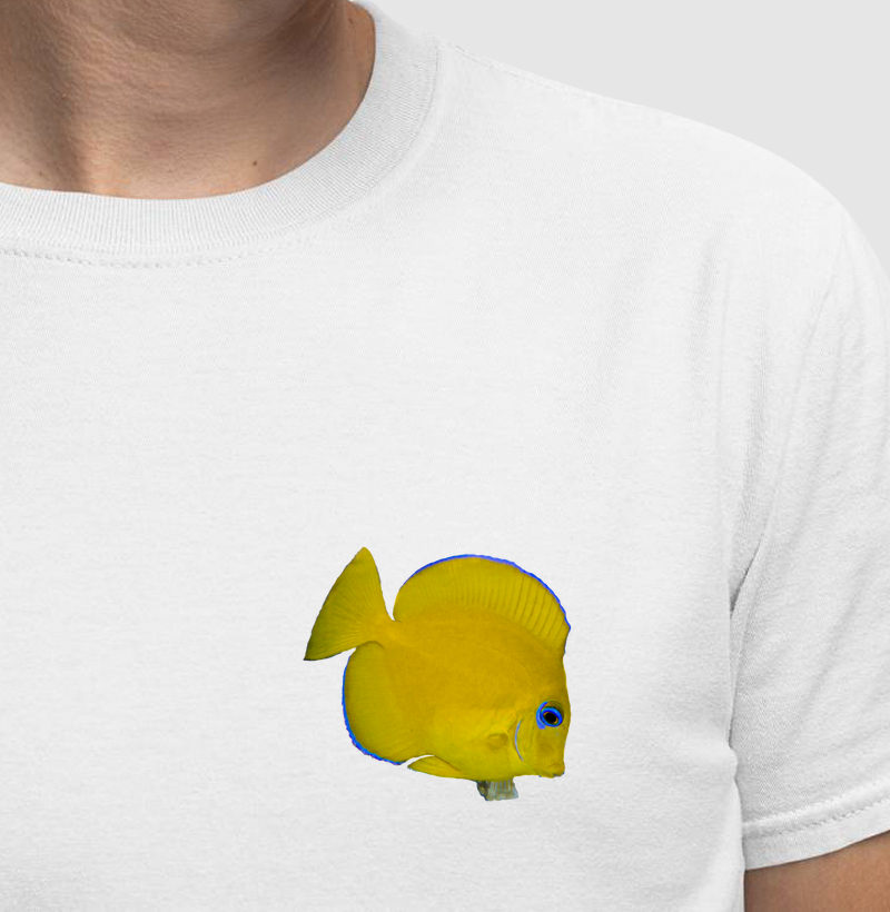 Peixinho Amarelinho