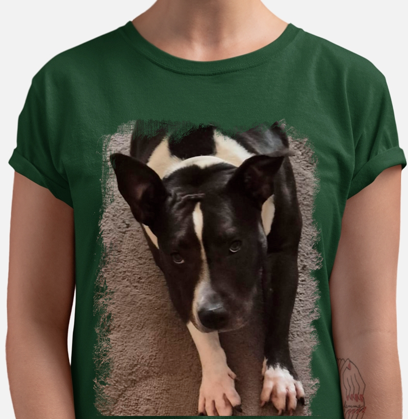 Cão BIG - Mod.01