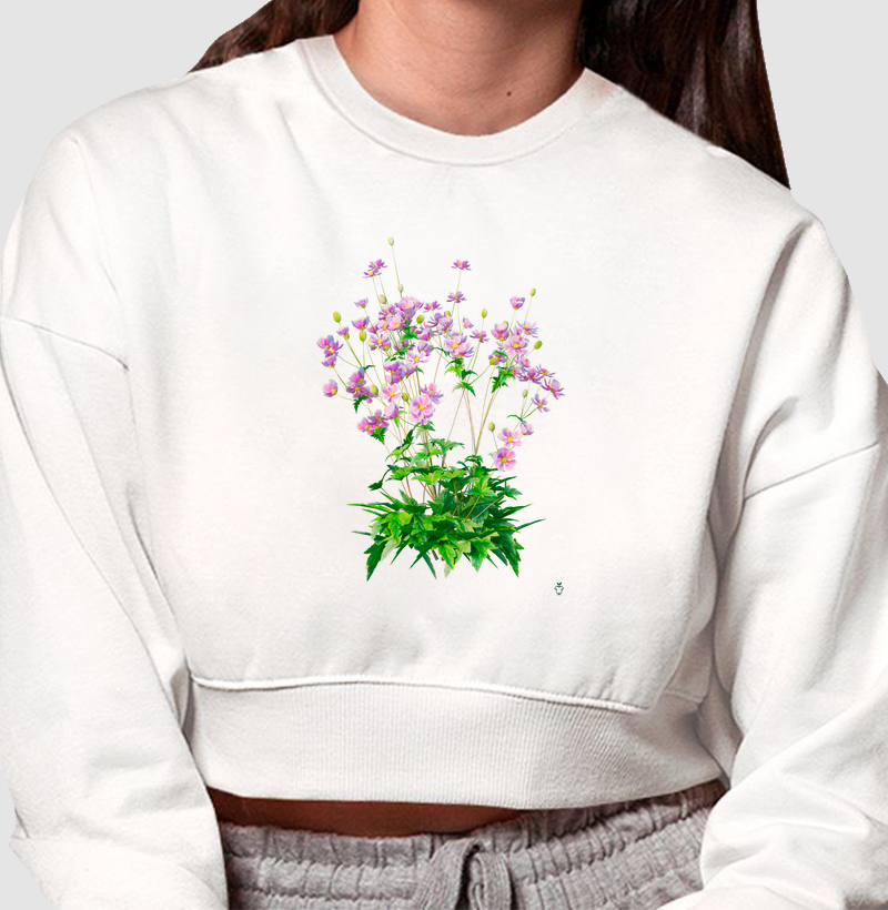 Coleção flores
