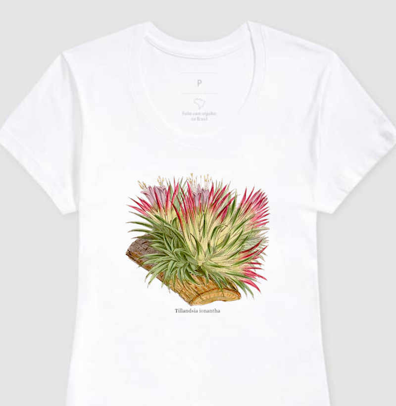 Camiseta Feminina Tillandsia ionantha