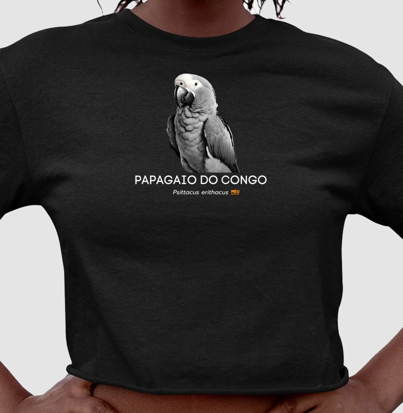 Papagaio do Congo III