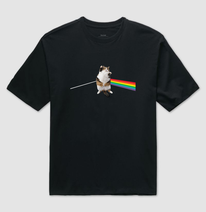 Fat Rainbow Cat