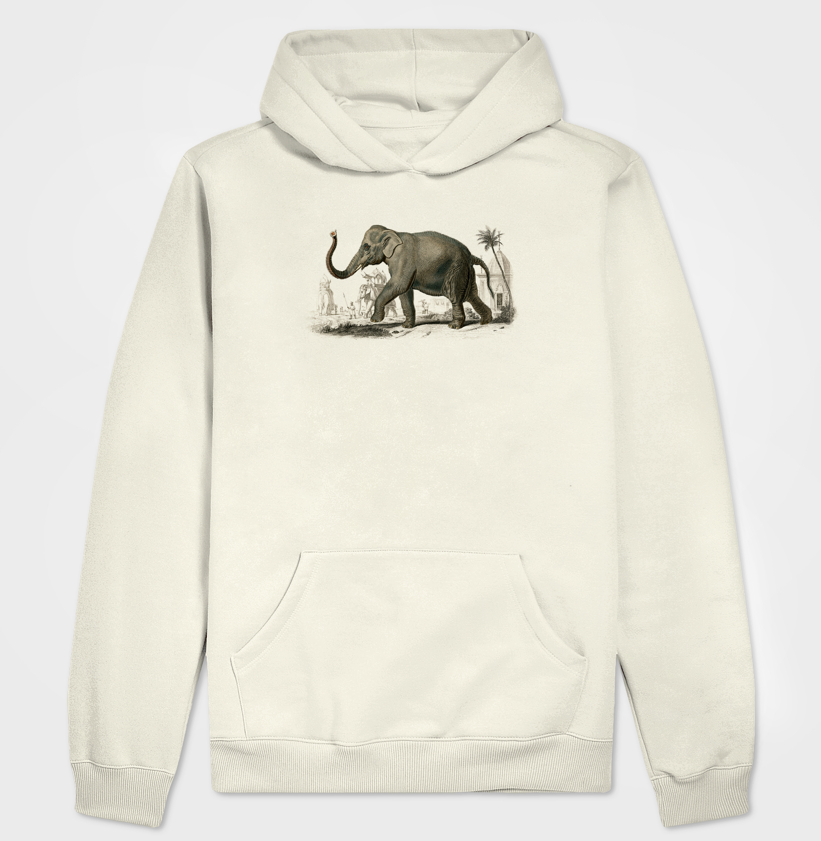 Asian elephant
