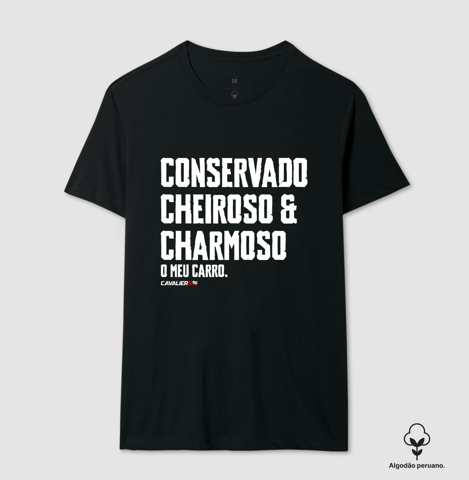 Conservado, cheiroso e charmoso, o meu carro.