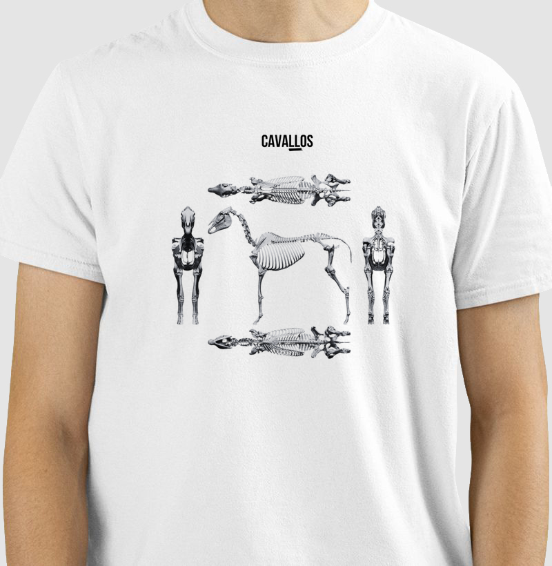Esqueleto Cavalo