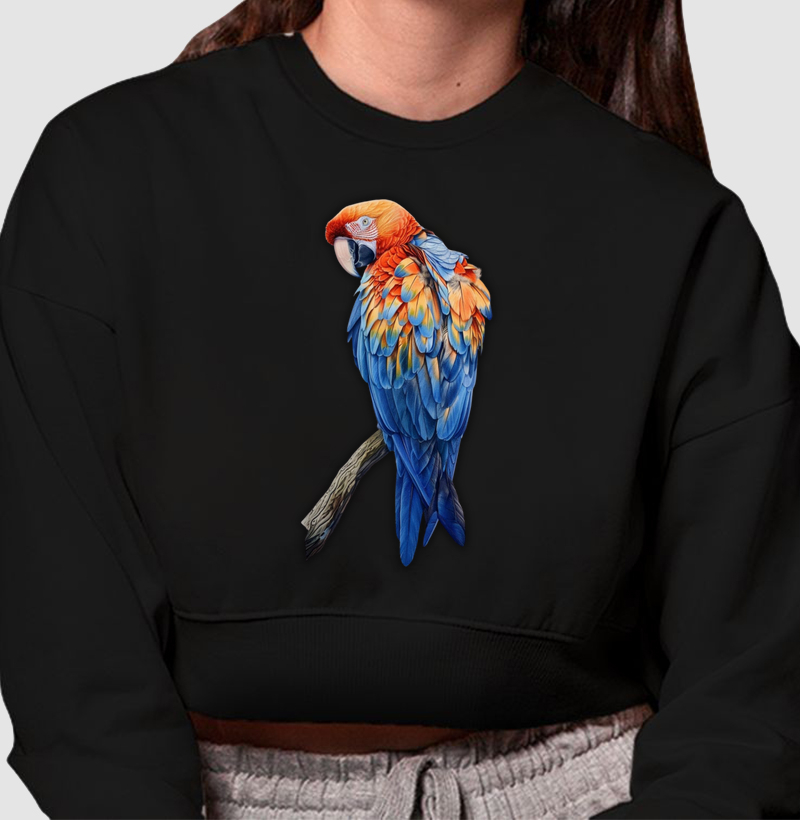 Arara