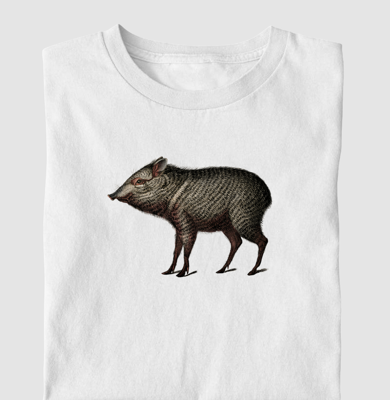 Porco-do-mato