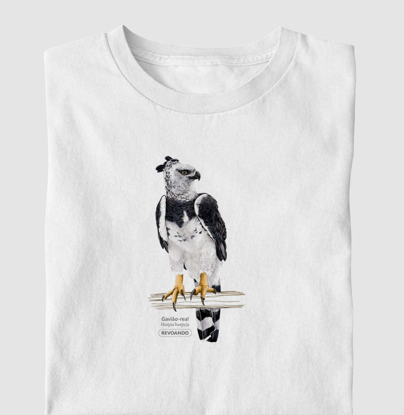 Aves do Brasil - Gavião-real - Harpia - Infantil