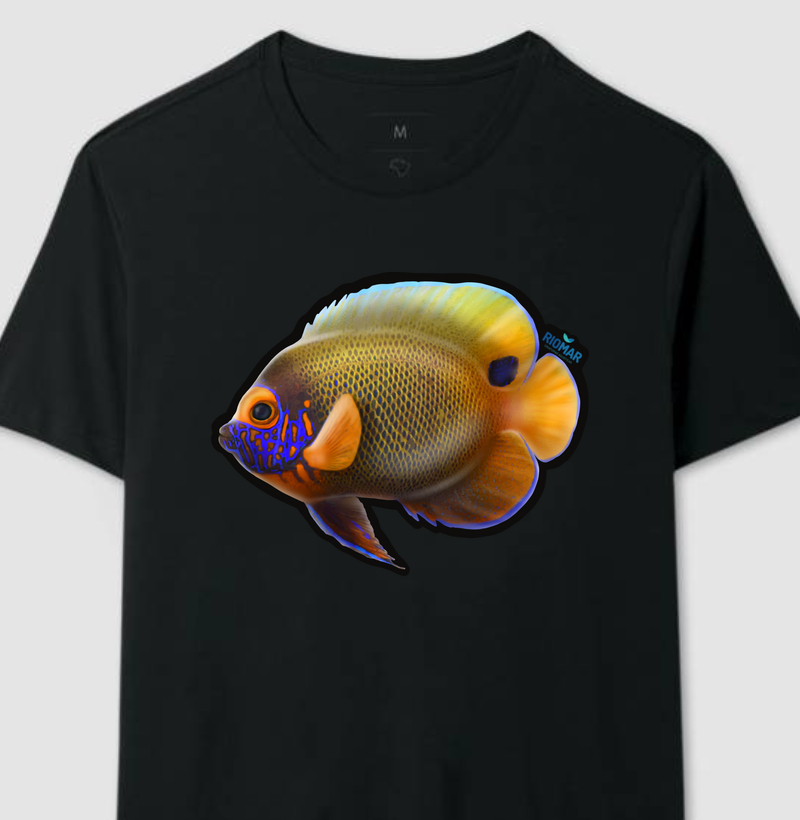 Blueface Angelfish (Pomacanthus xanthometopon)