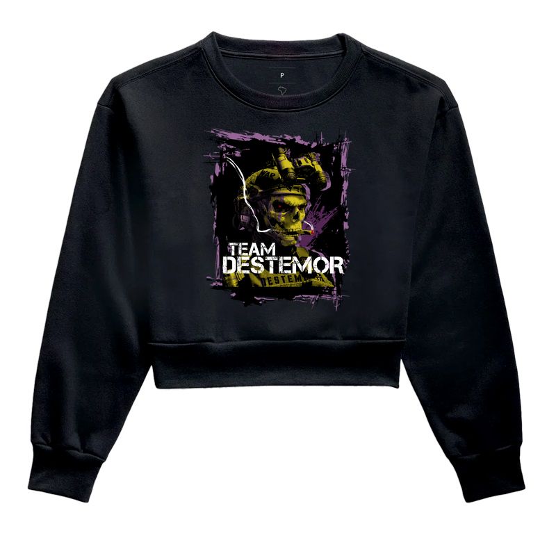 TEAM DESTEMOR