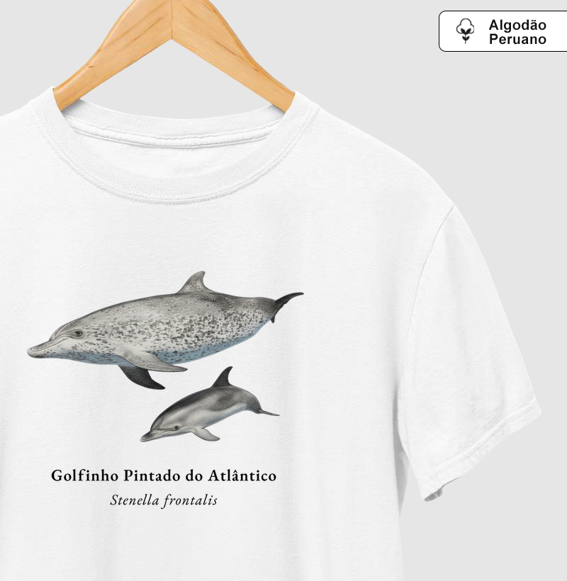 Golfinho Pintado do Atlântico