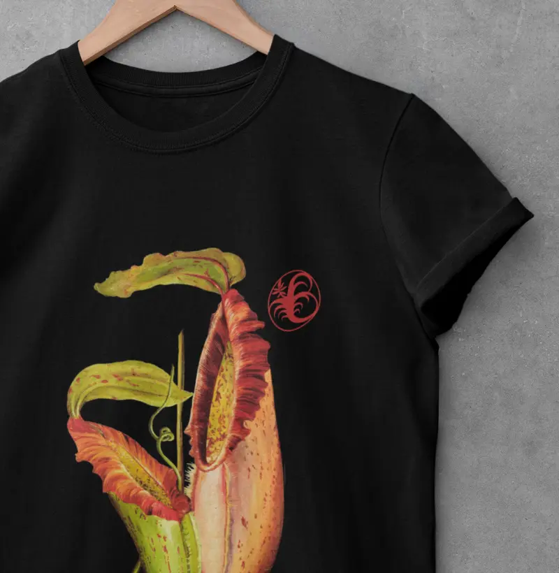 NEPENTHES II